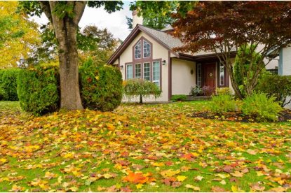 Fall Yard Maintenance Tips For The Homeowner